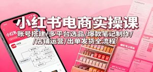 小红书电商实操课:账号搭建/多平台选品/爆款笔记制作/店铺运营/出单发货全流程-聊项目