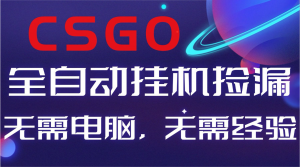 【副业好项目】全球火爆游戏CSGO自动捡漏,新手小白日入500+-聊项目