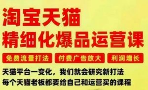 淘宝天猫精细化爆品运营课,免费流量打法-付费广告放大-利润增长-三大核心痛点,一次全部解决-聊项目