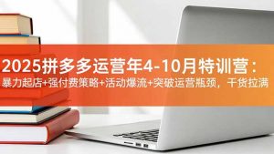 2025拼多多运营年4-10月特训营：暴力起店+强付费策略+活动爆流+突破运营瓶颈，干货拉满-聊项目