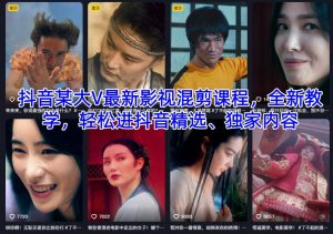 抖音某大V最新影视混剪课程,全新教学,轻松进抖音精选、独家内容-聊项目