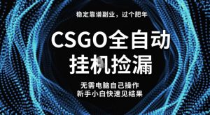 【稳定副业】全球最热门游戏CSGO全自动捡漏,最新玩法,新手小白日入5张+【揭秘】-聊项目