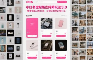 小红书虚拟矩阵玩法3.0,铺货铺笔记型打法,少款狂怼笔记型打法-聊项目