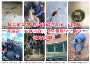 抖音某大V万物科普解说课程,可进抖音精选,独家内容,超干货教学,助你涨粉又賺钱-聊项目