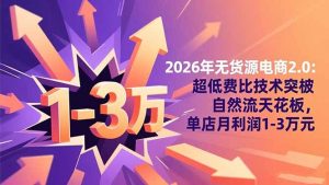 2026年无货源电商2.0【更新】:超低费比技术突破自然流天花板,单店月利润1-3万元-聊项目