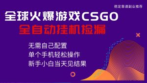 火爆游戏CSGO全自动捡漏，独家最新玩法，单个手机可操作，新手小白日入500+-聊项目