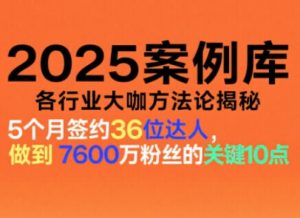 2025案例库,收录各行业大咖的方法论,各行业大咖方法论揭秘-聊项目