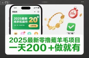 2025最新零撸薅羊毛项目，纯手机操作，20秒一单，无任何门槛，一天200+做就有【揭秘】-聊项目