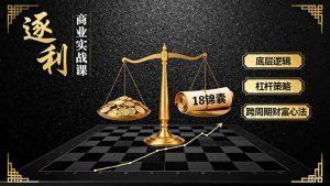 《逐 利》商业实战课，底层逻辑、杠杆策略、18锦囊，跨周期财富心法(更新-聊项目