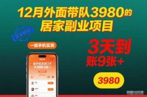 12月外面带队3980的居家副业项目，一部手机实测3天到账9张+，首发教程【揭秘】-聊项目