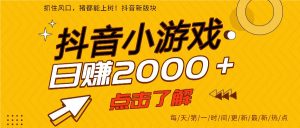 5年爆火的抖音小游戏项目,一部手机日入2000+-聊项目