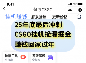 用CSGO游戏挂机捡漏掘金赚钱掘金,一部手机轻松日入500+-聊项目