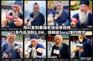 用AI复刻暴躁老道语录视频,21条作品涨粉8.8W,保姆级Sora2制作教学-聊项目