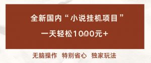 全新国内小说挂G项目，多窗口无脑跑，一天轻松1k+，特别省心【揭秘】-聊项目