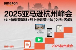 2025亚马逊杭州峰会,线上特训营基础+线上特训营进阶(文档+视频)-聊项目