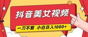 抖音美女视频，一刀不剪，两分钟一条视频，小白轻松上手，日入1000-聊项目