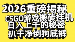 2026开年重磅解密,CSGO游戏搬砖挂G日入1k+的秘密,把倒狗的底裤扒干【揭秘】-聊项目