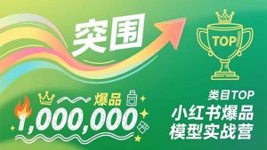 小红书爆品模型实战营，从新品突围到成为类目TOP，可复制路径，打造多个营收百万级爆品-聊项目