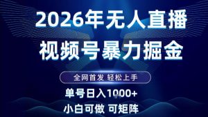 2026最新视频号无人直播掘金，全网首发，小白可以玩，长期稳定日入1k+【揭秘】-聊项目
