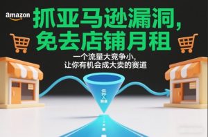抓亚马逊漏洞，免去店铺月租，一个流量大竞争小，让你有机会成大卖的赛道-聊项目