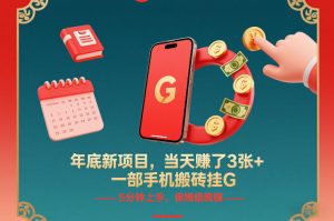年底新项目，当天賺了3张+，一部手机搬砖挂G，5分钟上手，保姆级教程【揭秘】-聊项目