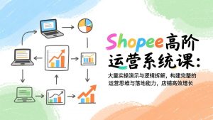 Shopee高阶运营系统课:大量实操演示与逻辑拆解,构建完整的运营思维与落地能力,店铺高效增长-聊项目
