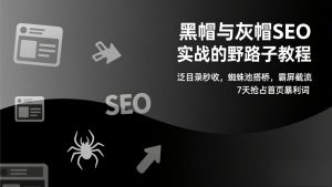 黑帽与灰帽SEO实战的野路子教程：泛目录秒收，蜘蛛池搭桥，霸屏截流，7天抢占首页暴利词-聊项目