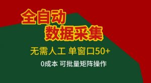 全自动数据采集，无需人工，单窗口50+，0成本可批量矩阵操作【揭秘】-聊项目
