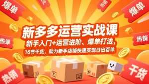 拼多多运营实战课,新手入门+运营进阶、爆单打法,16节干货,助力新手店铺快速实现日出百单-聊项目