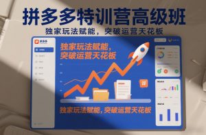 拼多多特训营高阶班,独家玩法赋能,突破运营天花板(更新26年2月)-聊项目