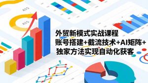 外贸新模式实战课程-更新2月，账号搭建+截流技术+AI矩阵+独家方法实现自动化获客-聊项目