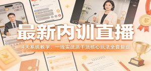 最新内训直播，4天系统教学，一线实战派干货核心玩法全套复盘-聊项目