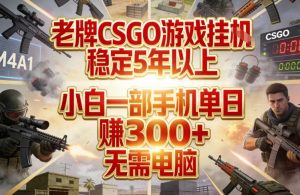 老牌CSGO游戏挂G，稳定5年以上，小白一部手机单日賺3张+，无需电脑【揭秘】-聊项目