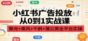 小红书广告投放从0到1实战课：聚光+乘风+千帆+蒲公英全平台实操-聊项目