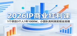 2026IP商业红利课：1个项目3个人1年1000W，小团队高利润变现全流程-聊项目