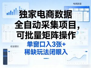 独家电商数据全自动采集项目,可批量矩阵操作,单窗口日入3张+,稀缺玩法闭眼入【揭秘】-聊项目