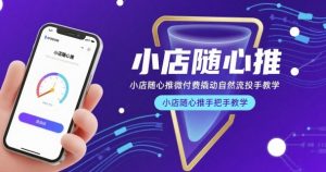 小店随心推微付费撬动自然流投手教学，小店随心推手把手教学(更新26年)-聊项目