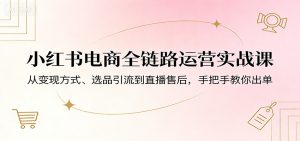 小红书电商全链路运营实战课:从变现方式、选品引流到直播售后,手把手教你出单-聊项目