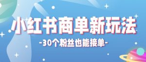 合新手小白操作的小红书商单新玩法，低粉丝也能接单，一个月接三单赚了150+！-聊项目