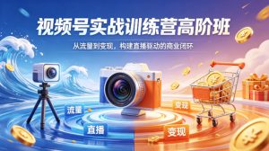 视频号实战训练营高阶班，从流量到变现，构建直播驱动的商业闭环(26年4月)-聊项目
