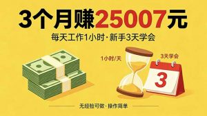 3个月赚钱25007元，每天工作1个小时，新手3天全部学会！-聊项目