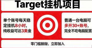 海外平台Target商品浏览曝光，24小时运行无需人工值守，日收益100美刀+电脑可多开【揭秘】-聊项目
