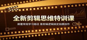 全新剪辑思维特训课：颠覆常规学习路径，靠剪辑逻辑搞定拍摄创作-聊项目