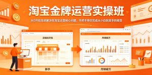 淘宝金牌运营实操班，从0开始系统解决你淘宝运营核心问题，手把手带你完成从小白到高手的蜕变-聊项目