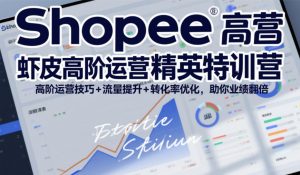 Shopee虾皮高阶运营精英特训营,高阶运营技巧+流量提升+转化率优化,助你业绩翻倍(更新26年5月)-聊项目
