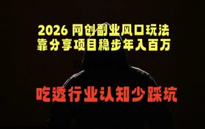 2026 网创副业风口玩法，靠分享项目稳步年入百万，吃透行业认知少踩坑-聊项目