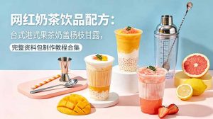 网红奶茶饮品配方：台式港式果茶奶盖杨枝甘露，完整资料包制作教程合集-聊项目
