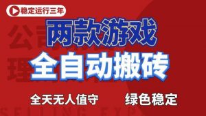 海外游戏全自动搬砖，日入1k+，全天无人值守，绿色稳定！【揭秘】-聊项目