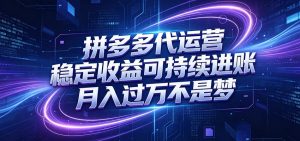 拼多多代运营,小白也能轻松月入过万,真实运营数据可查,全托管代运营-聊项目