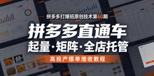 拼多多打爆班原创技术第60期,拼多多直通车,起量・矩阵・全店托管,高投产爆单增收教程-聊项目